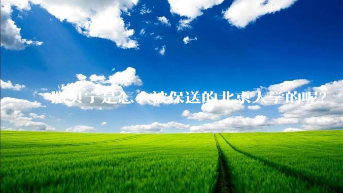 撒贝宁是怎么被保送的北京大学的呢？