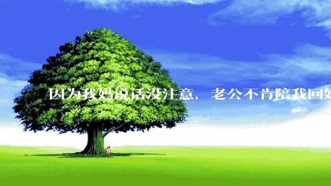 因为我妈说话没注意，老公不肯陪我回娘家了怎么办?