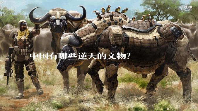 中国有哪些逆天的文物？