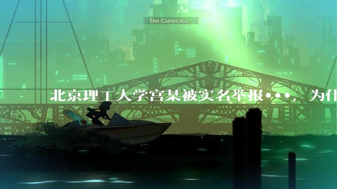 北京理工大学宫某被实名举报***，为什么感觉这么多人似乎站导师这边？