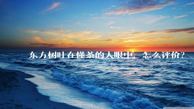 东方树叶在懂茶的人眼中，怎么评价？