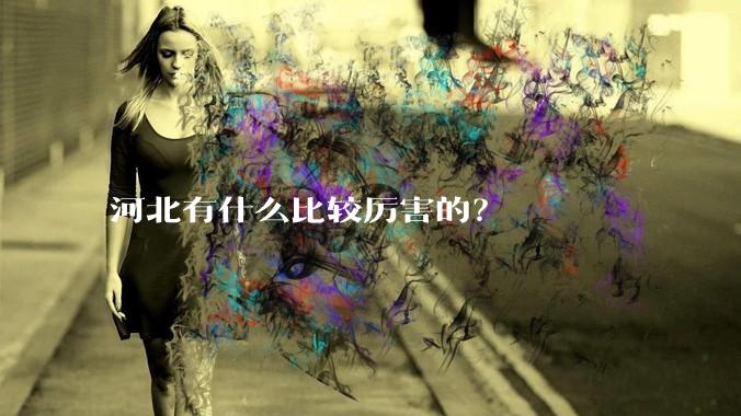 河北有什么比较厉害的？