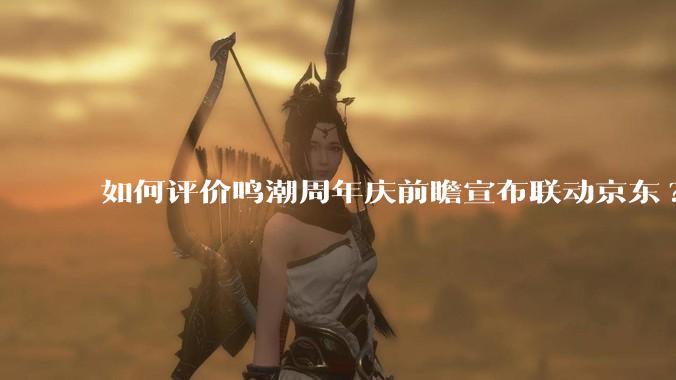 如何评价鸣潮周年庆前瞻宣布联动京东?