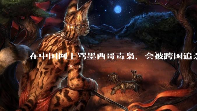 在中国网上骂墨西哥毒枭，会被跨国追杀吗？