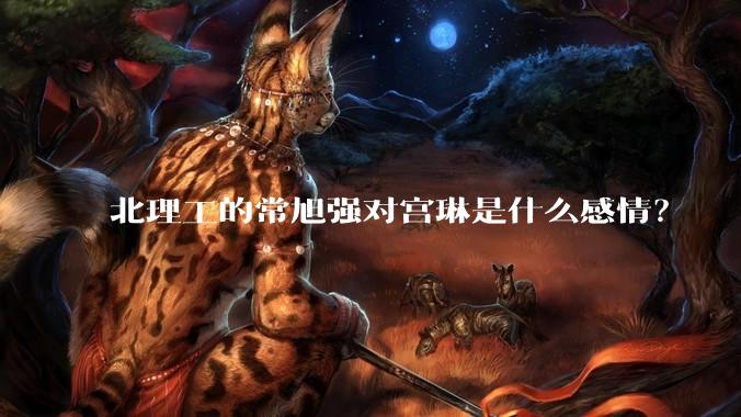 北理工的常旭强对宫琳是什么感情？