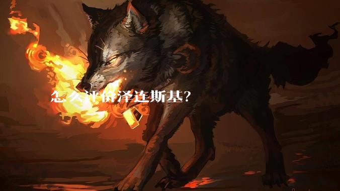 怎么评价泽连斯基？